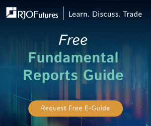 Free Fundamental Reports Guide