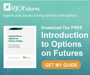 Request your Intro to Options Trading Guide