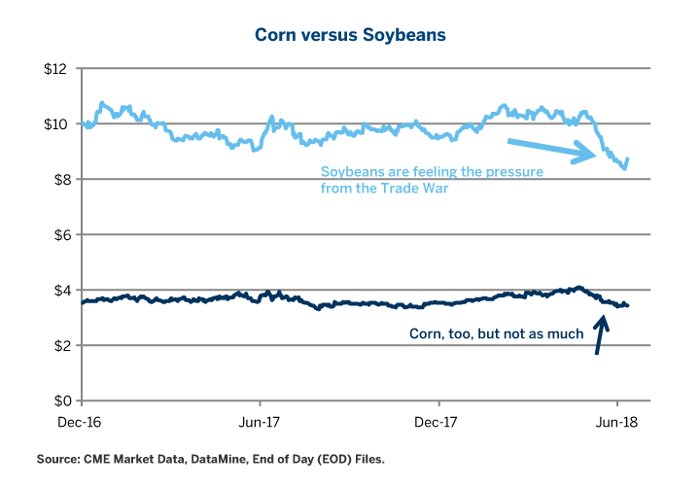 Corn versus Soybeans
