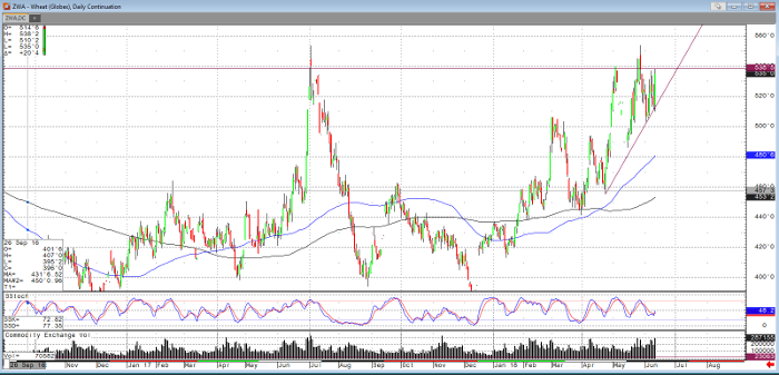 Wheat Daily Continuation Chart